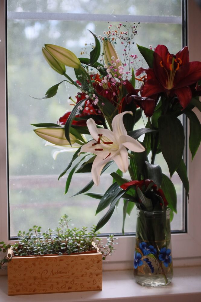 Photograph by Андрей Михайлин