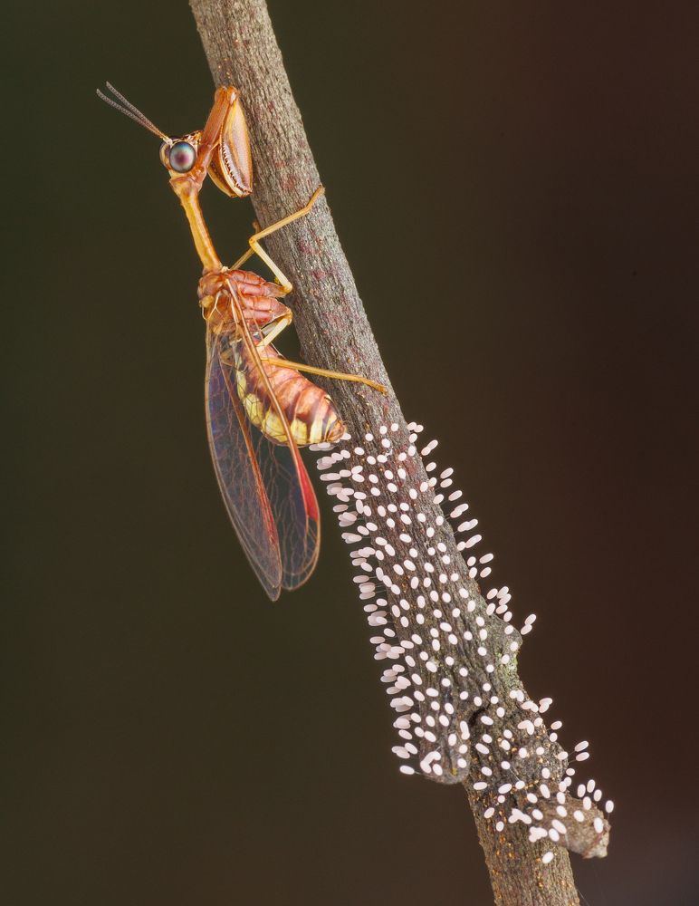 Photograph by Sunil Kumar