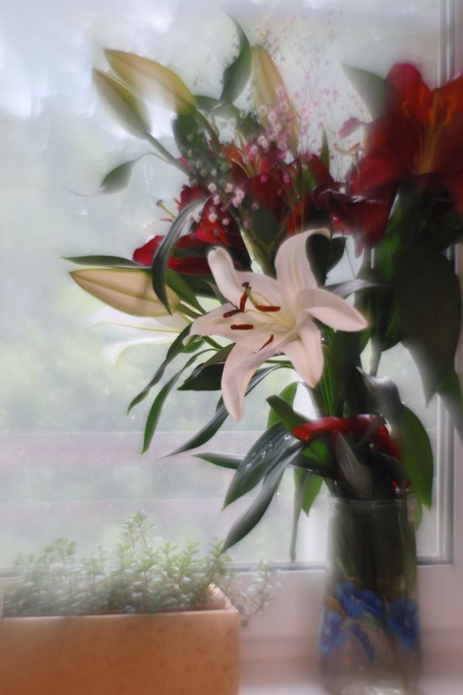 Photograph by Андрей Михайлин