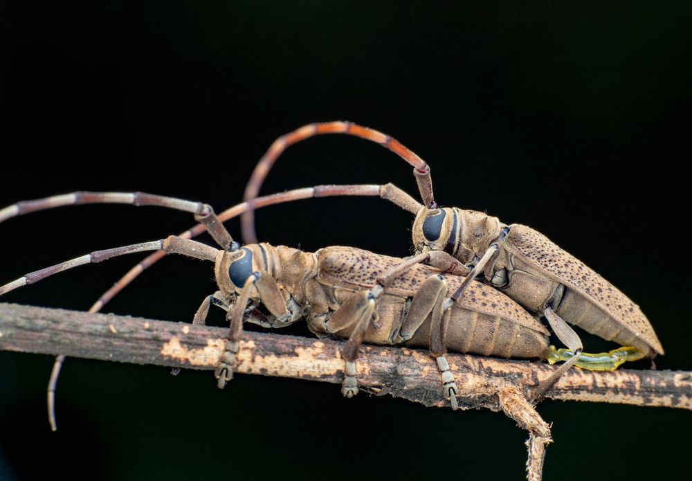 Photograph by Sunil Kumar