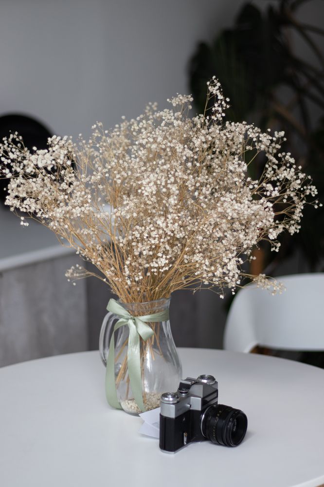 Photograph by Сергей Витвицкий