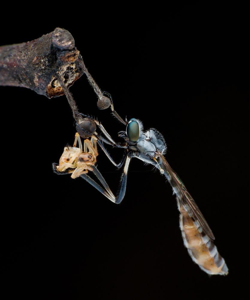 Photograph by Sunil Kumar