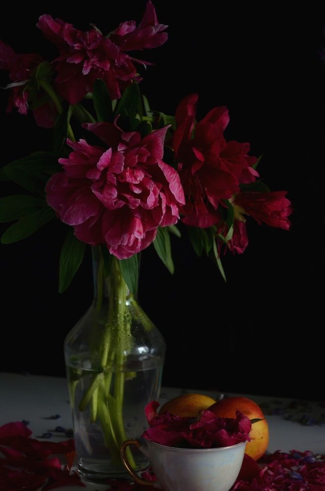 Photograph by Сесилия