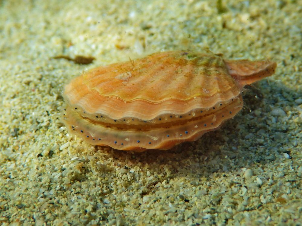 Photograph by Григорий Прокопов