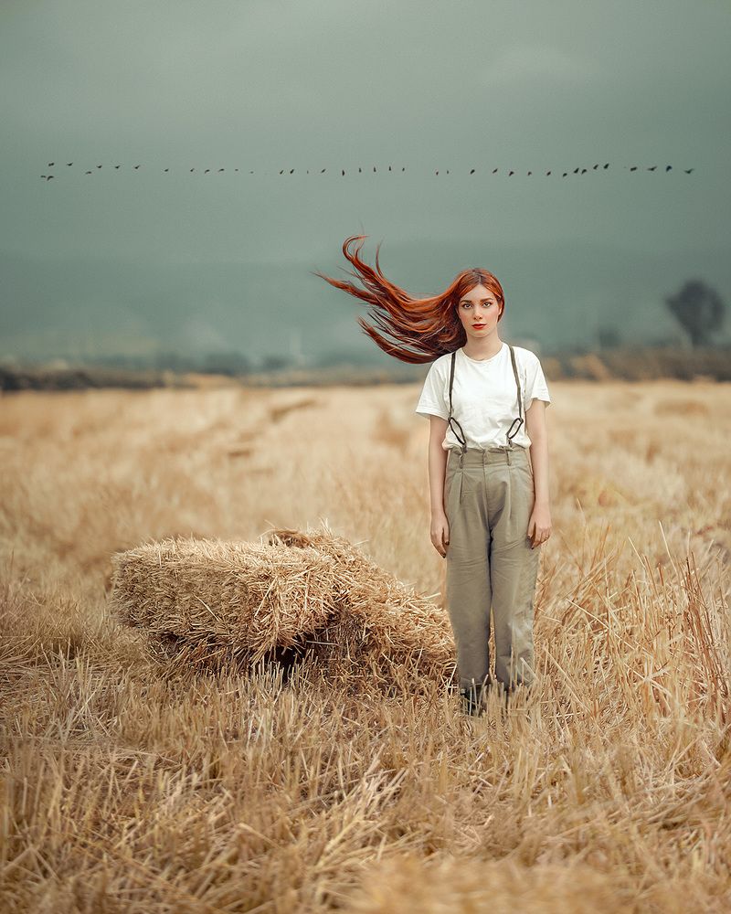 Photograph by samira hesami