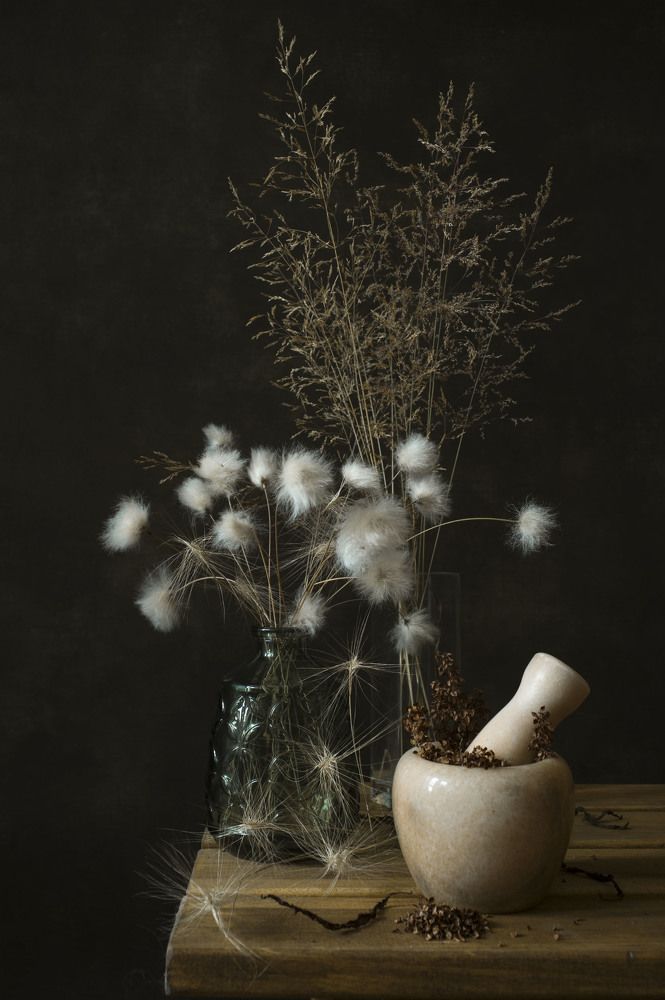 Photograph by Михаил Славный