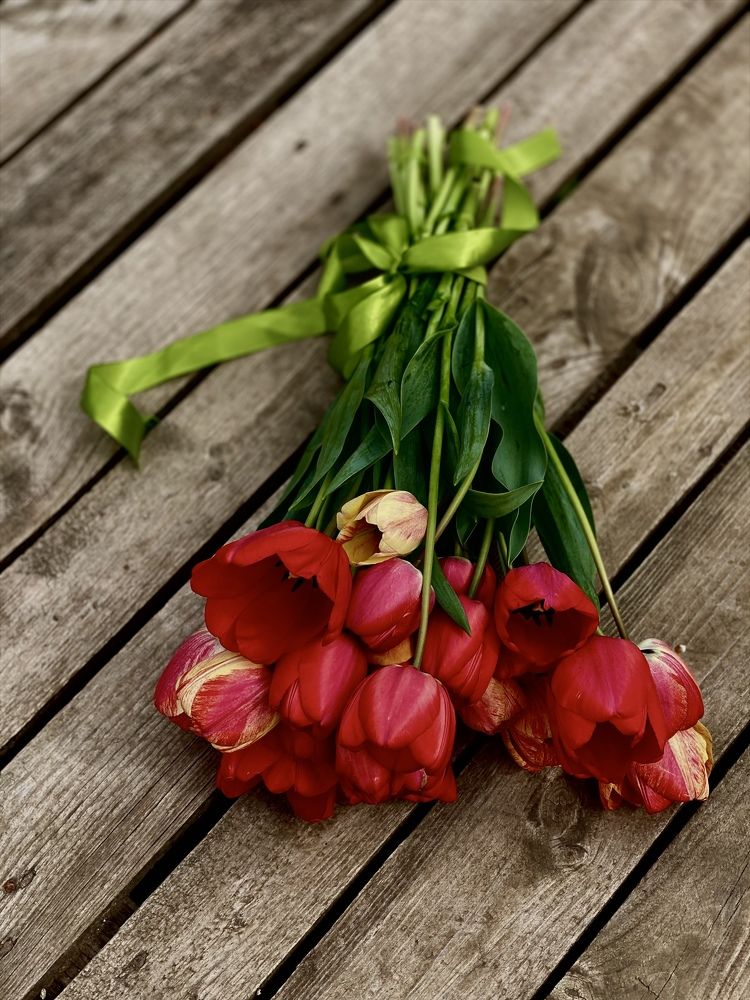 Photograph by Ольга Левенец