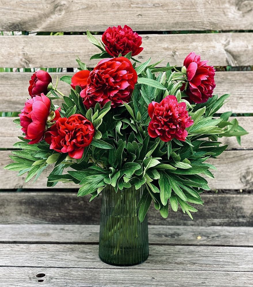 Photograph by Ольга Левенец