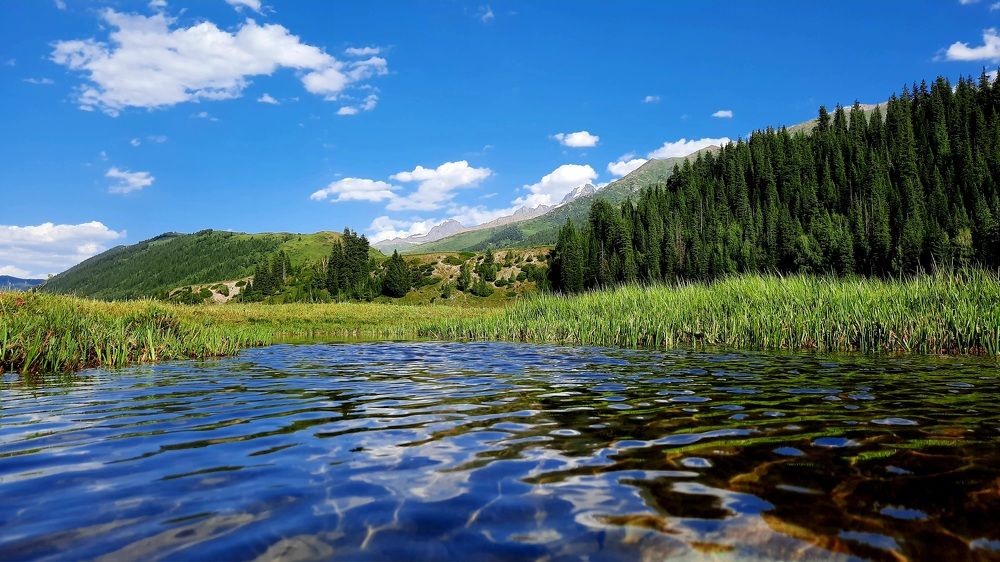 Photograph by Денис Б