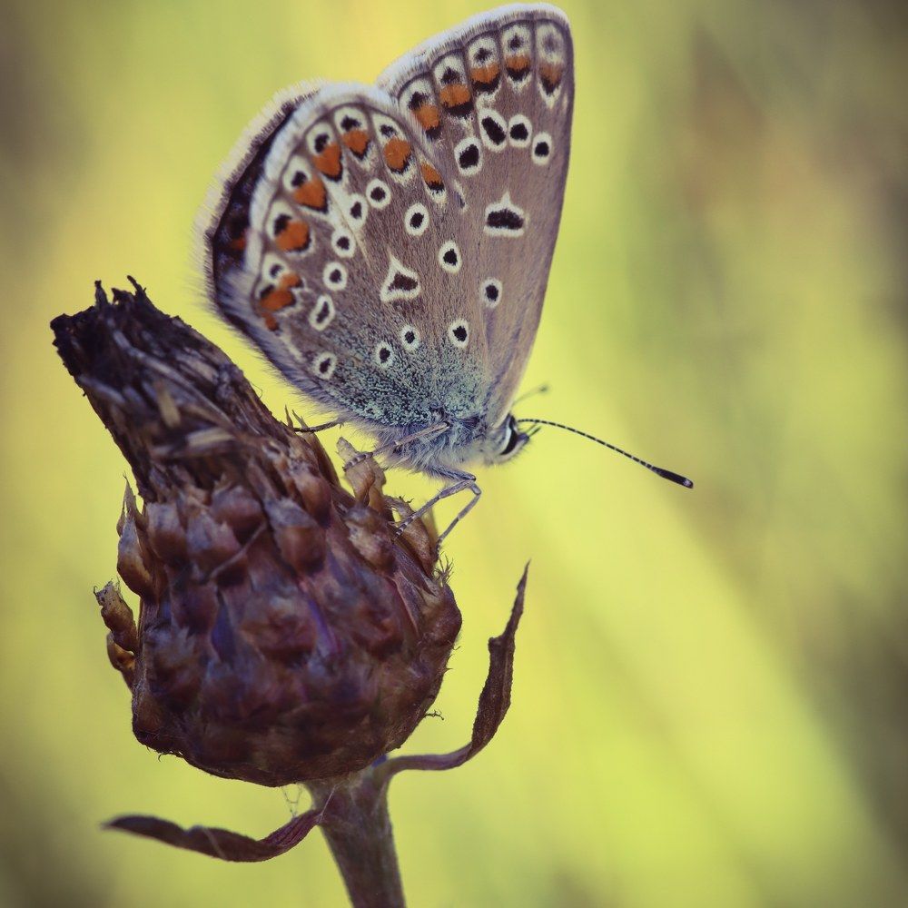 Photograph by Юлия Чиботарь