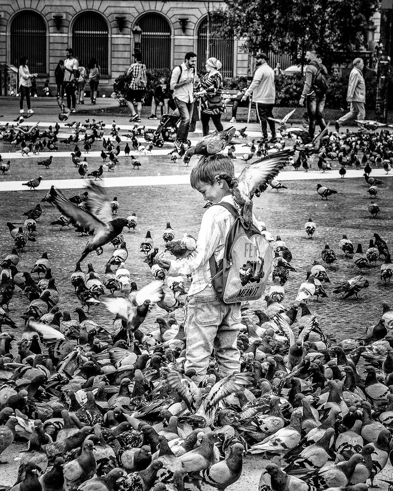 Photograph by Joao R Cortez