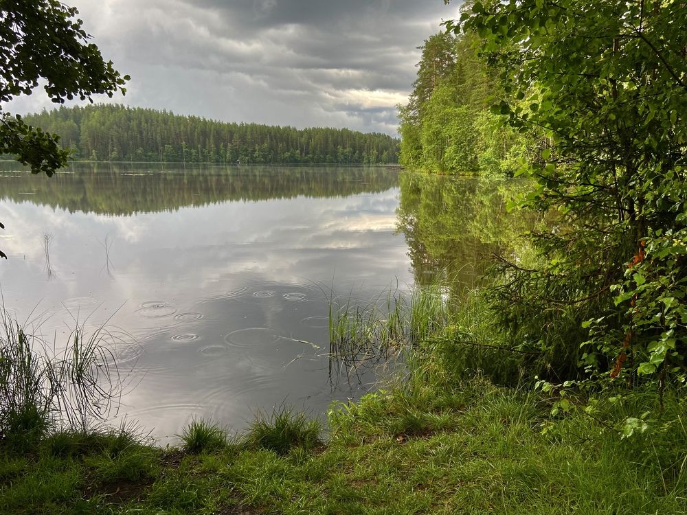 Photograph by Лариса