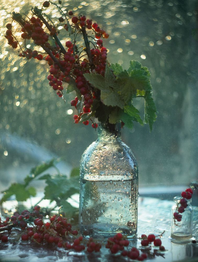 Photograph by Лионелла Зимина