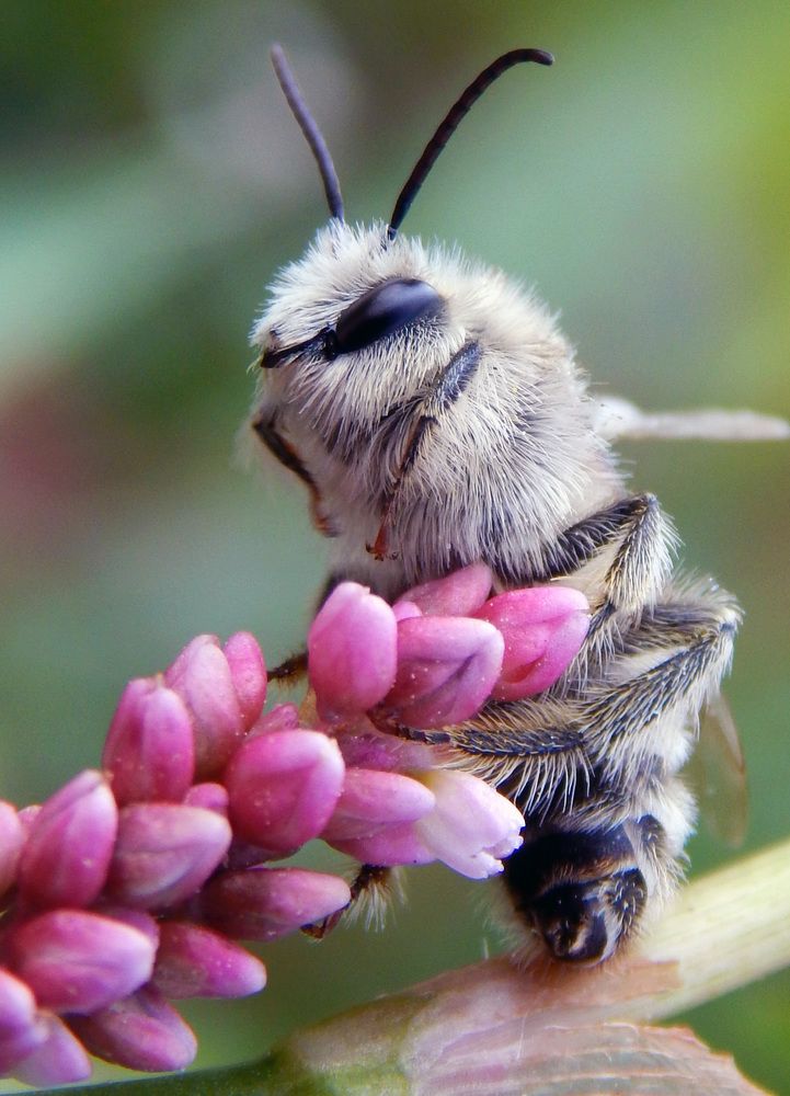 Photograph by Наталья Соколова