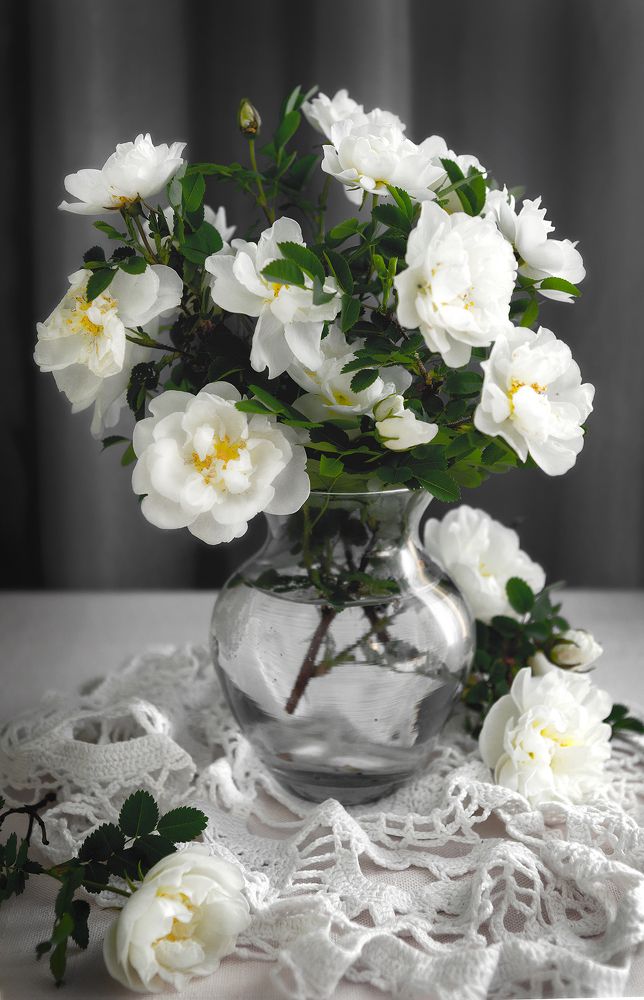 Фотография автора Aлена Хлопова