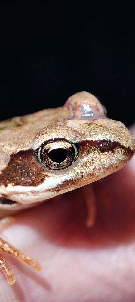 Photograph by Дарья Шевко