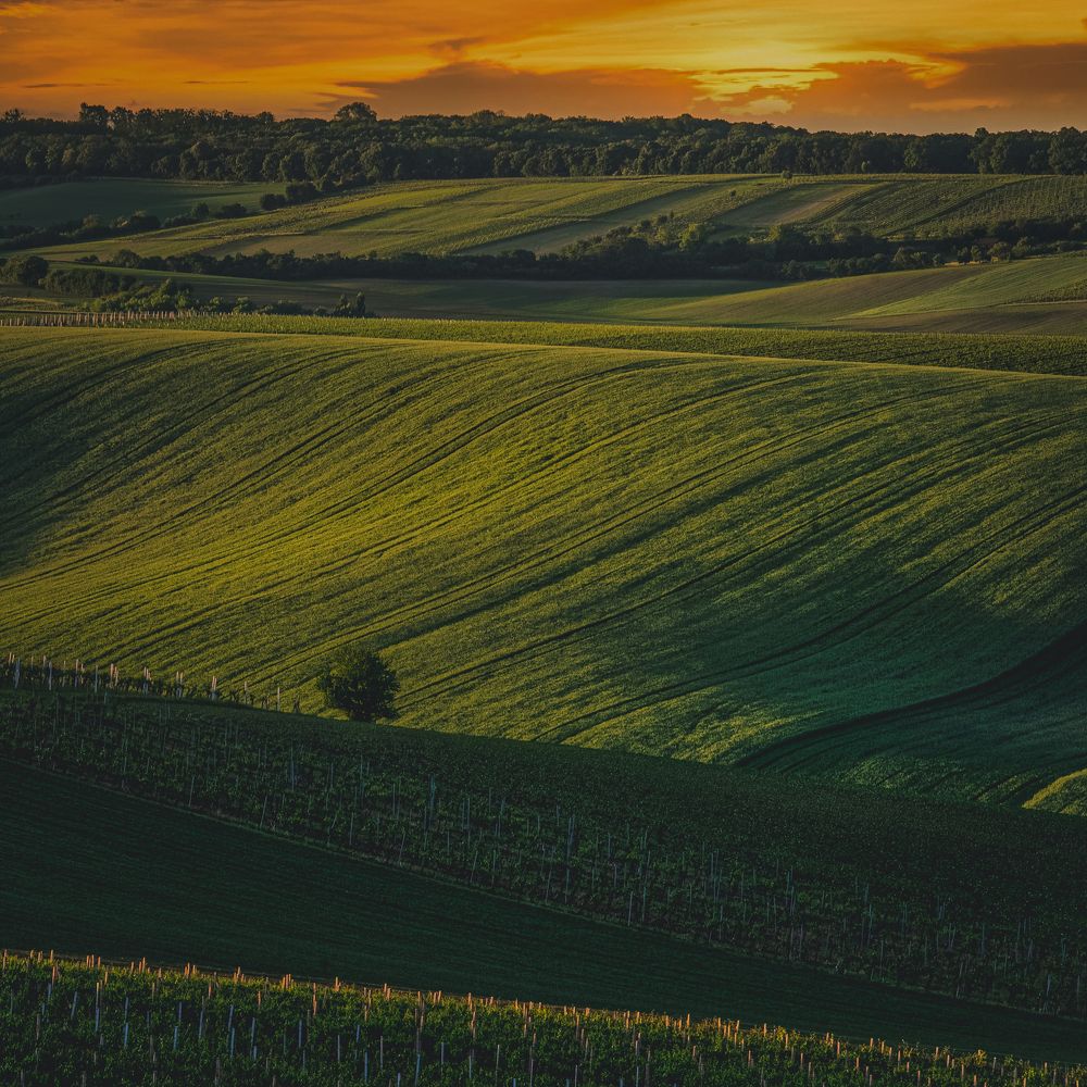 Photograph by Budyta Dariusz