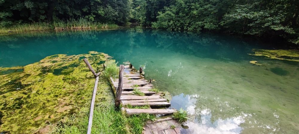 Photograph by Дарья Шевко