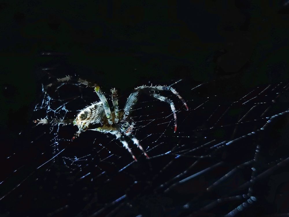 Photograph by Олег Губаревич