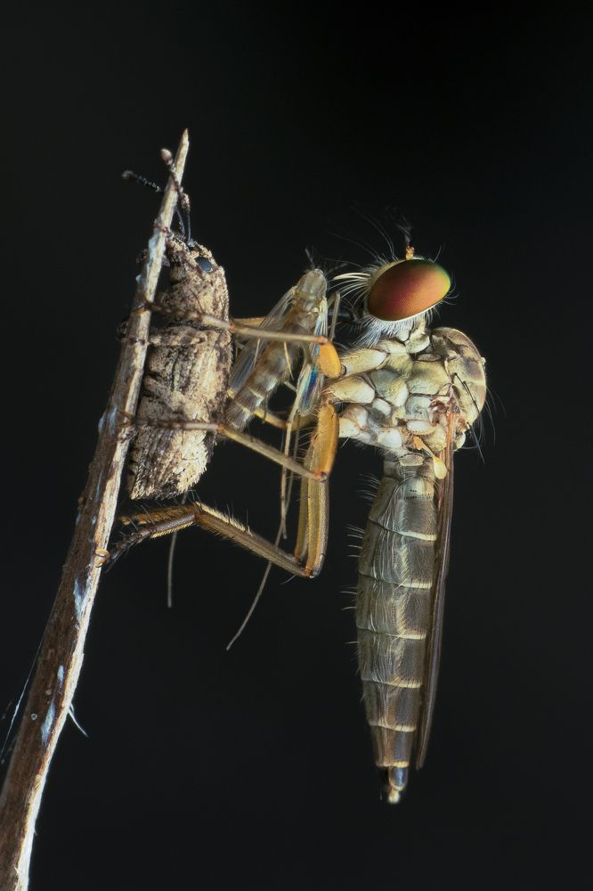 Photograph by Sumanta Dutta