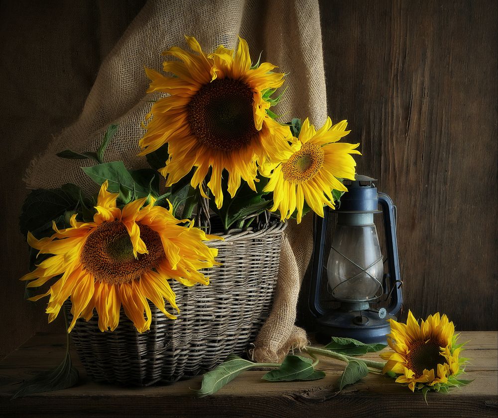 Photograph by Сергей Алексеев