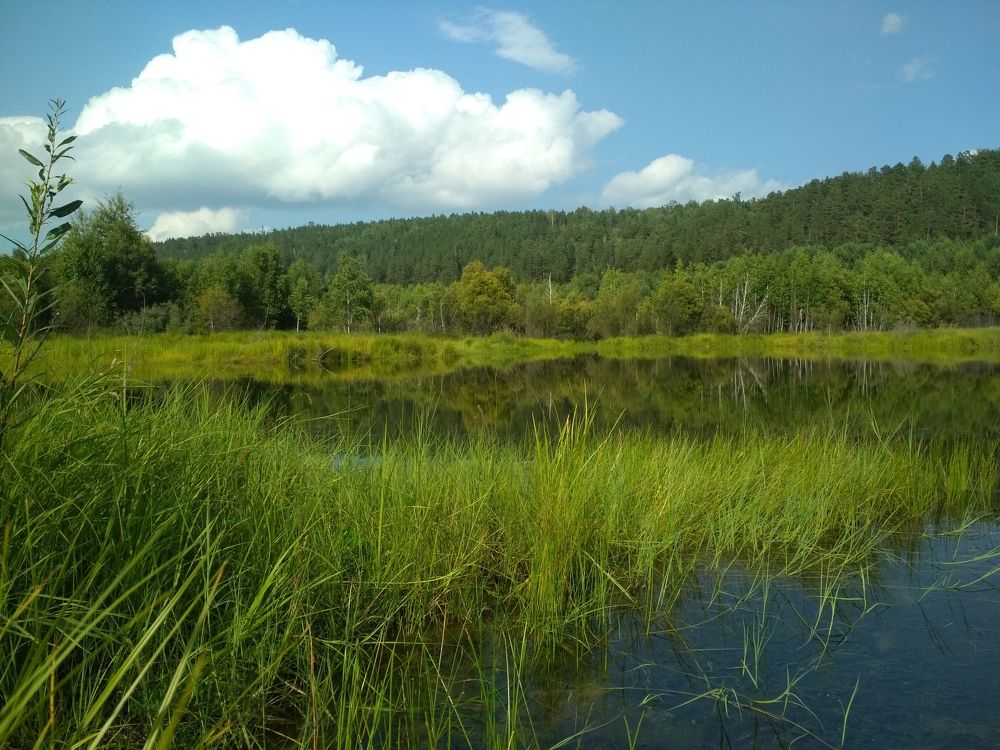 Photograph by Ольга Васильева