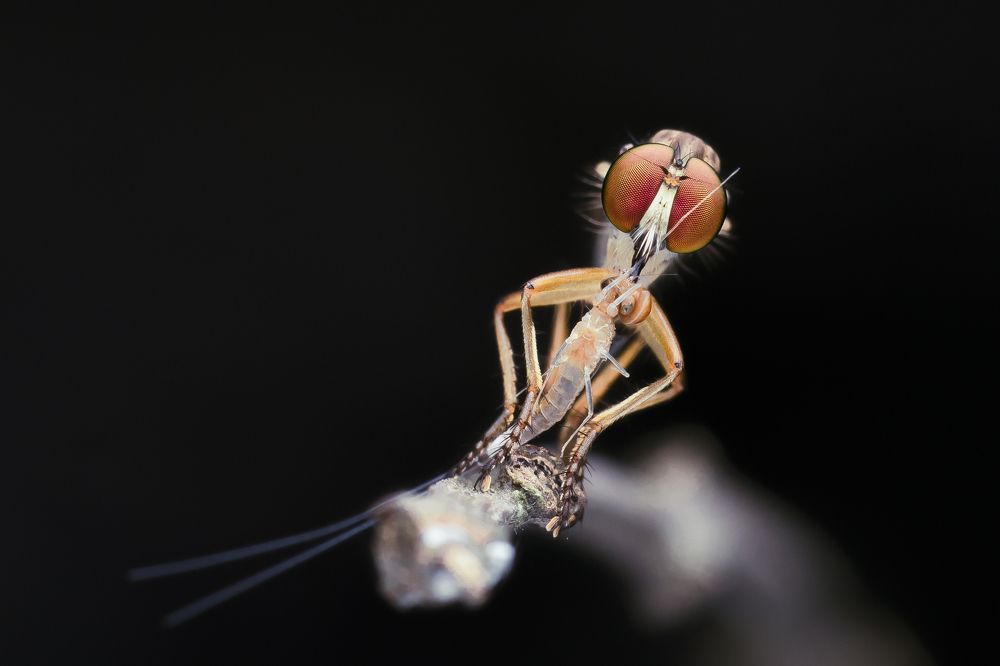 Photograph by Sumanta Dutta