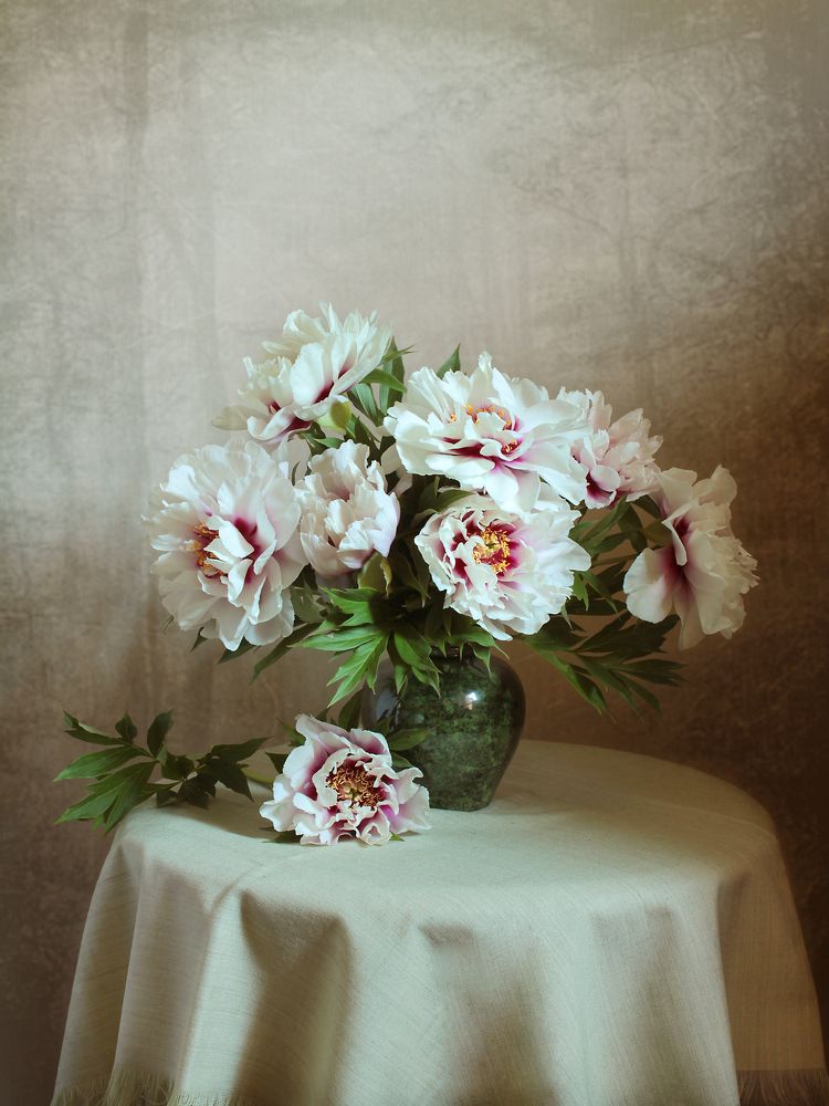 Фотография автора Ганина Галина