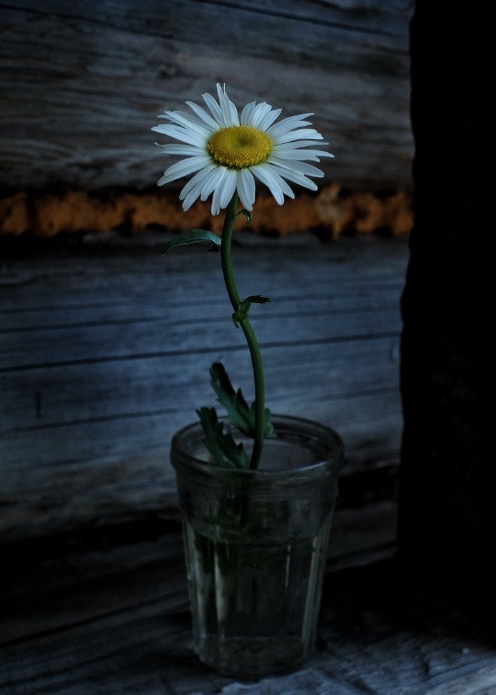 Photograph by Наталья Сафронова