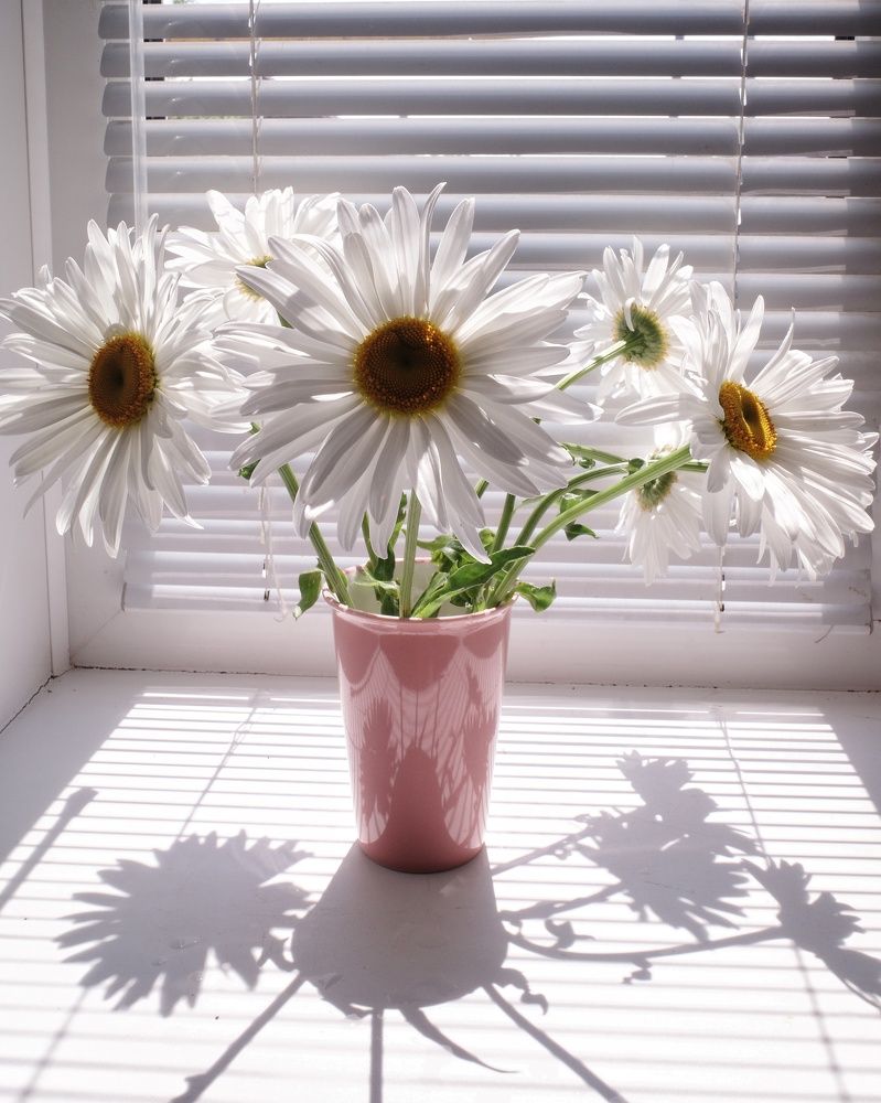 Photograph by Наталья Сафронова