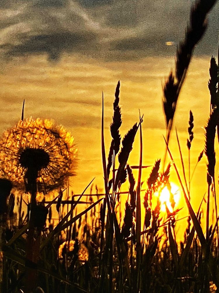 Photograph by Манушкина Зинаида