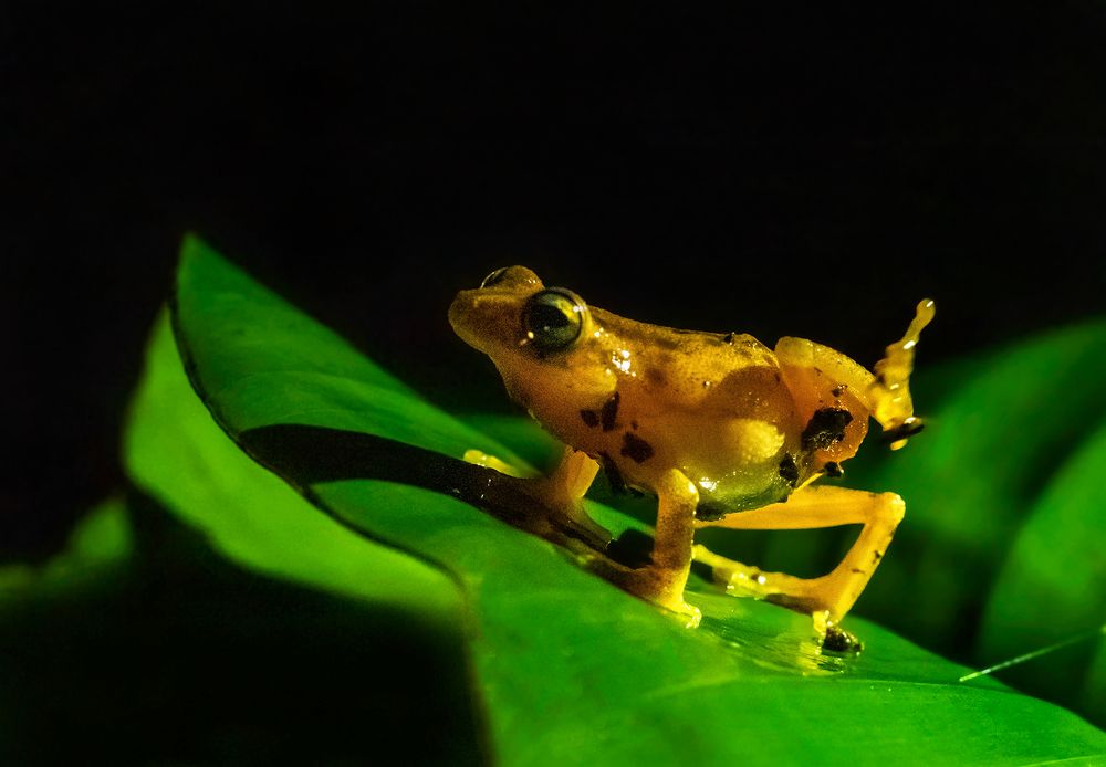 Photograph by BHAGYA D