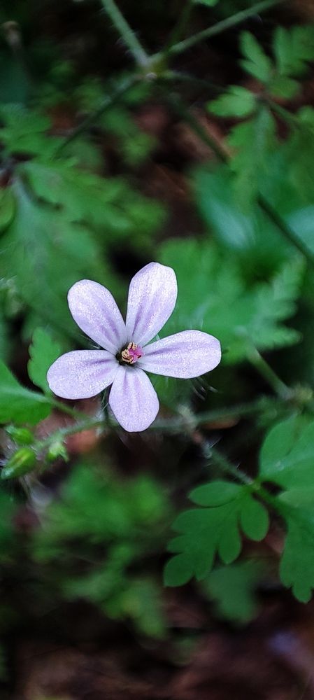 Photograph by Дарья Шевко