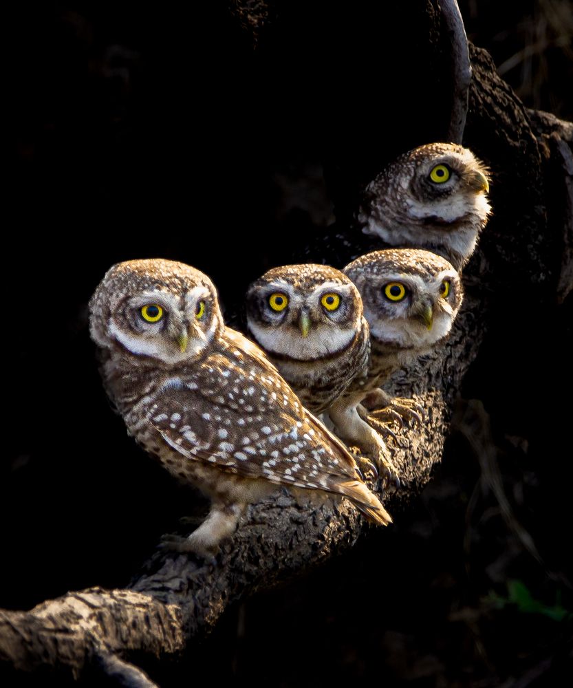 Photograph by Mayank Bhushan