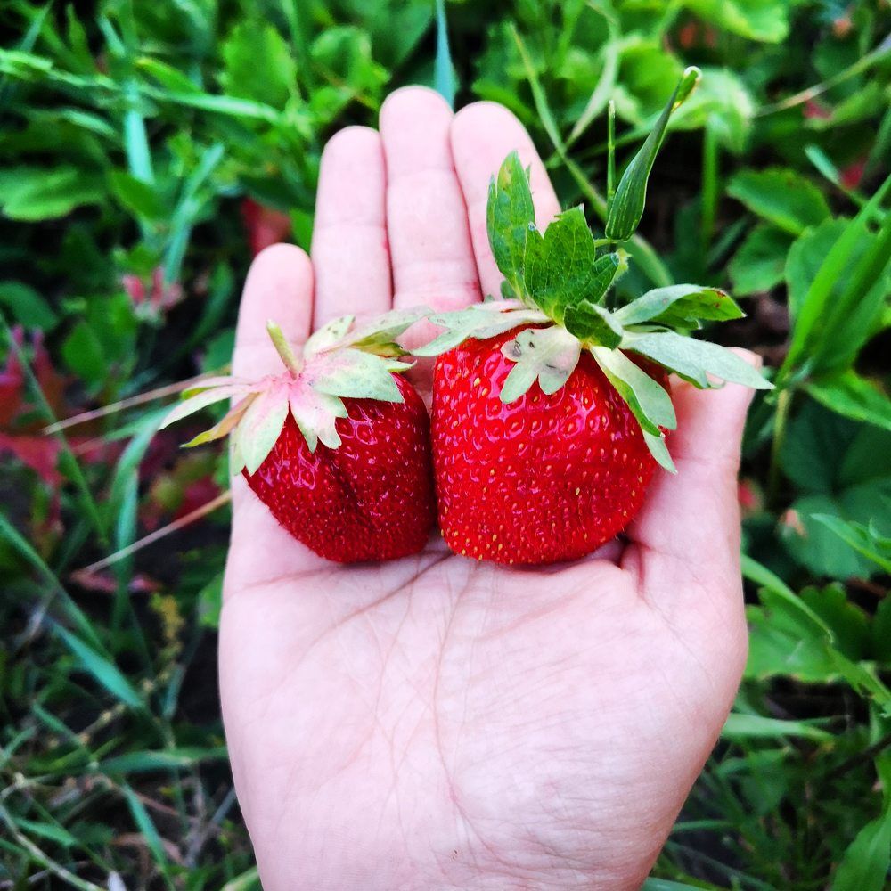 Photograph by Nikolett Mengyi