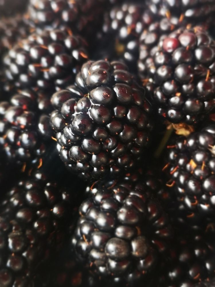 Photograph by Nikolett Mengyi