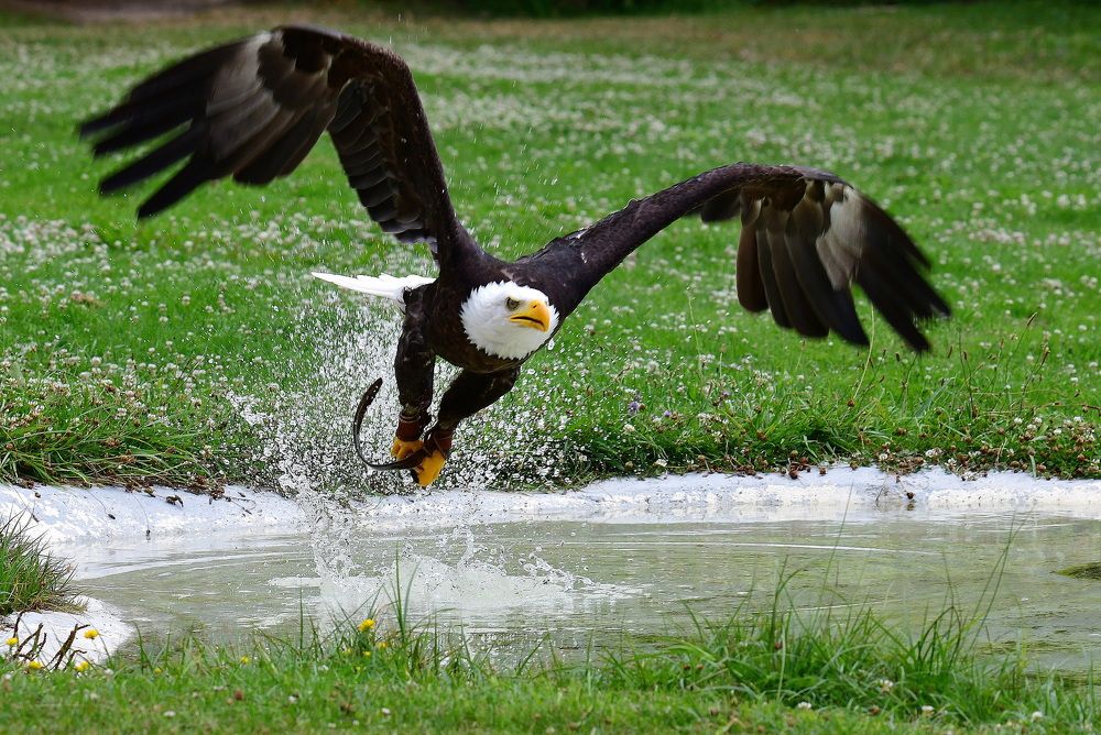 Фотография автора Anne Moginier