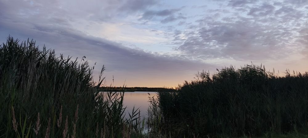 Photograph by Дарья Шевко