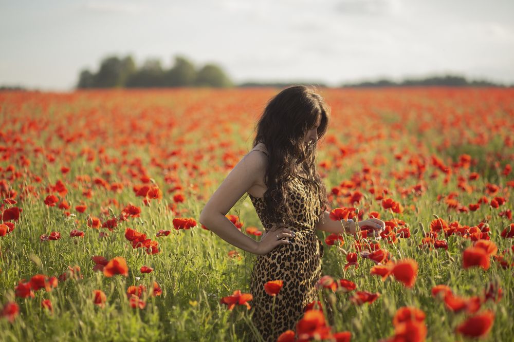 Photograph by Екатерина Ларсен