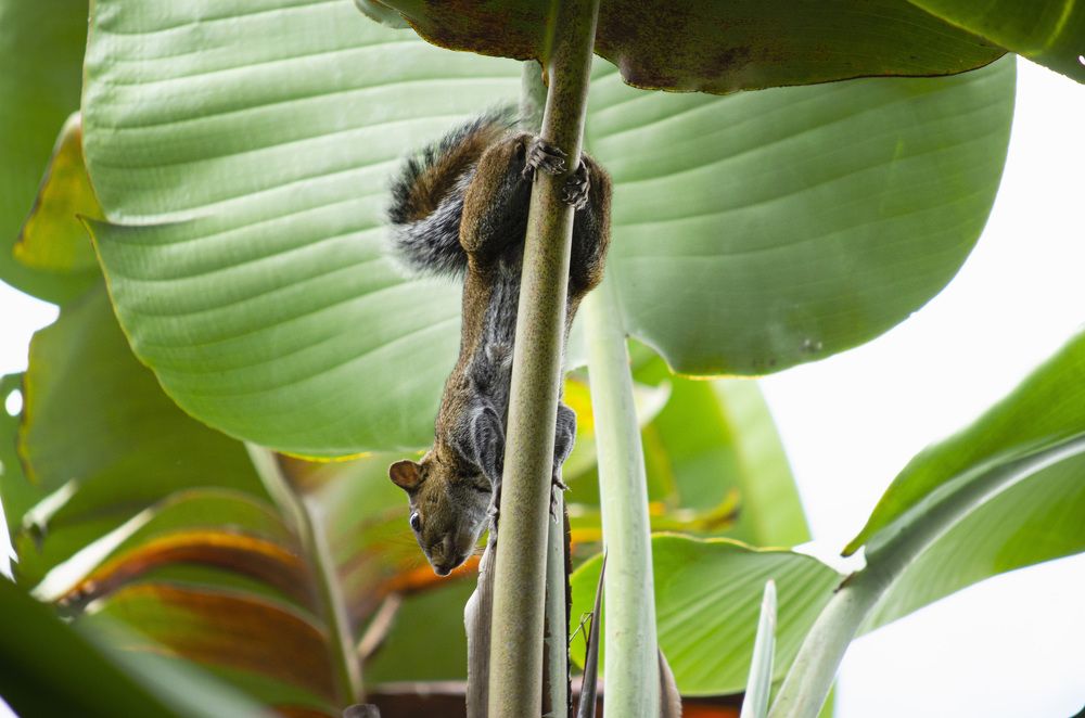 Photograph by Angelisa Gonzalez