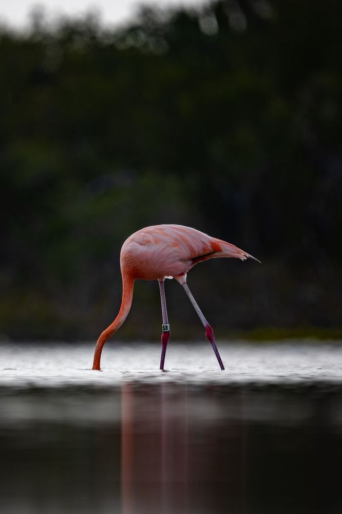 Photograph by Rondel Smith