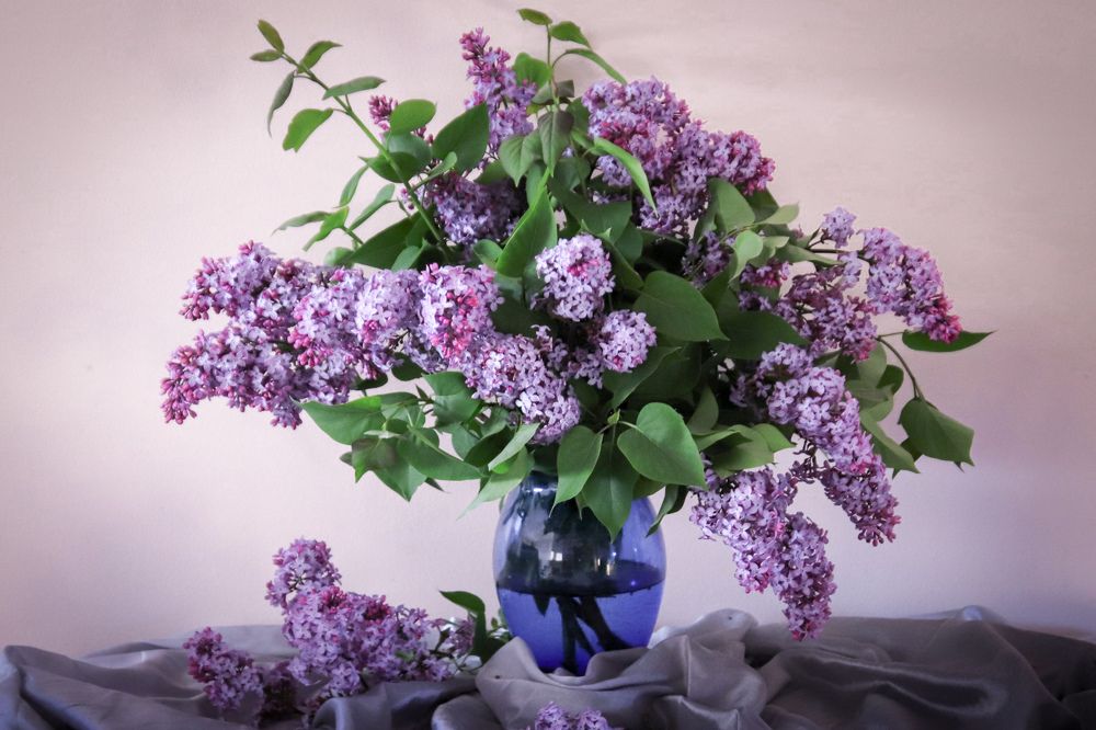 Photograph by Jelena Dzene