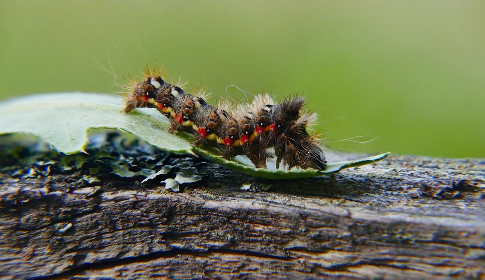 Photograph by Алексей Чернов
