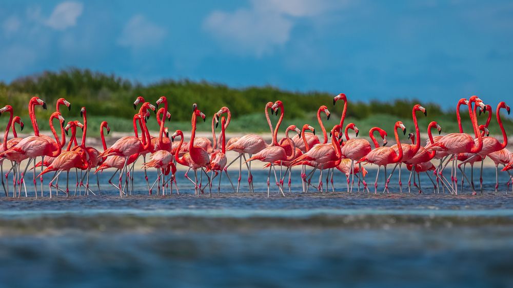 Photograph by Rondel Smith