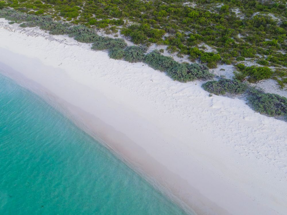 Photograph by Rondel Smith