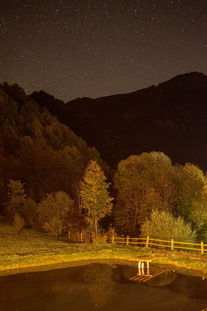 Photograph by FLORINDA LOREDANA CIURARU