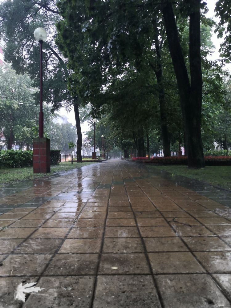 Photograph by Леонид