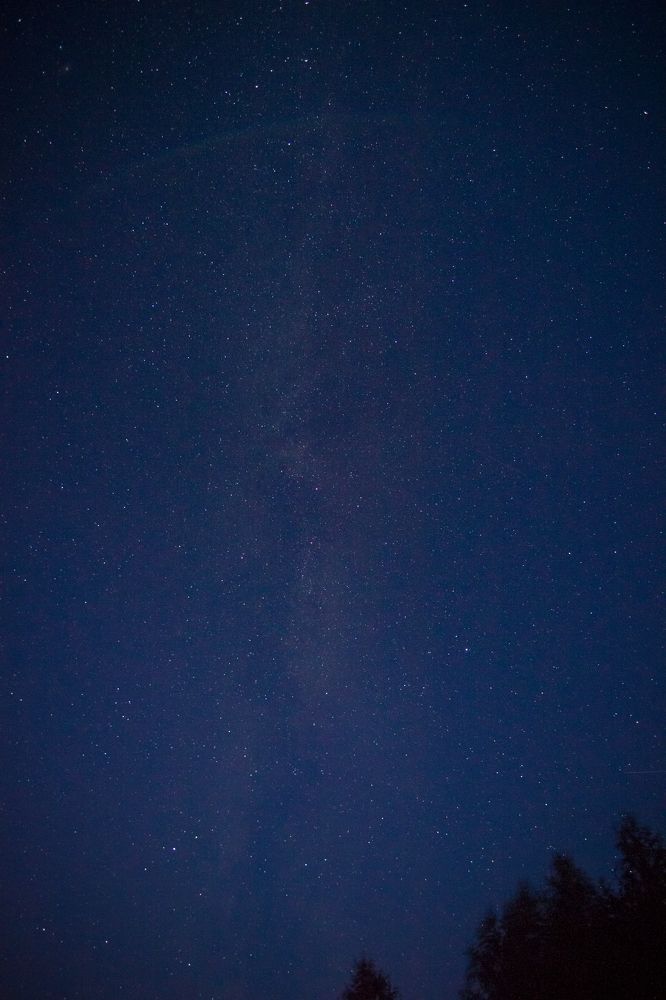 Photograph by Елена Хвойнова