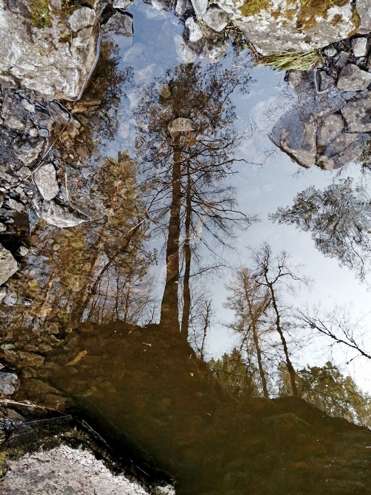 Photograph by Наталья Дубовкина