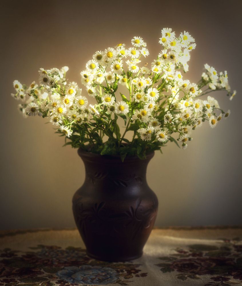 Photograph by Ирина Ефимова